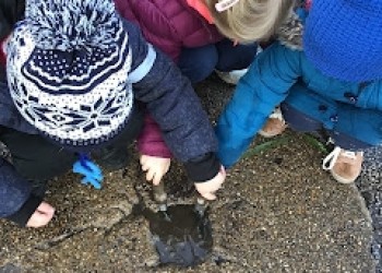 Ice explorations with Owls. (4)